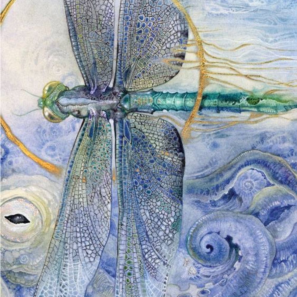 Donna Mosher
