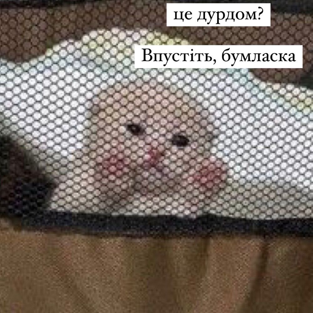 funnyfriday 