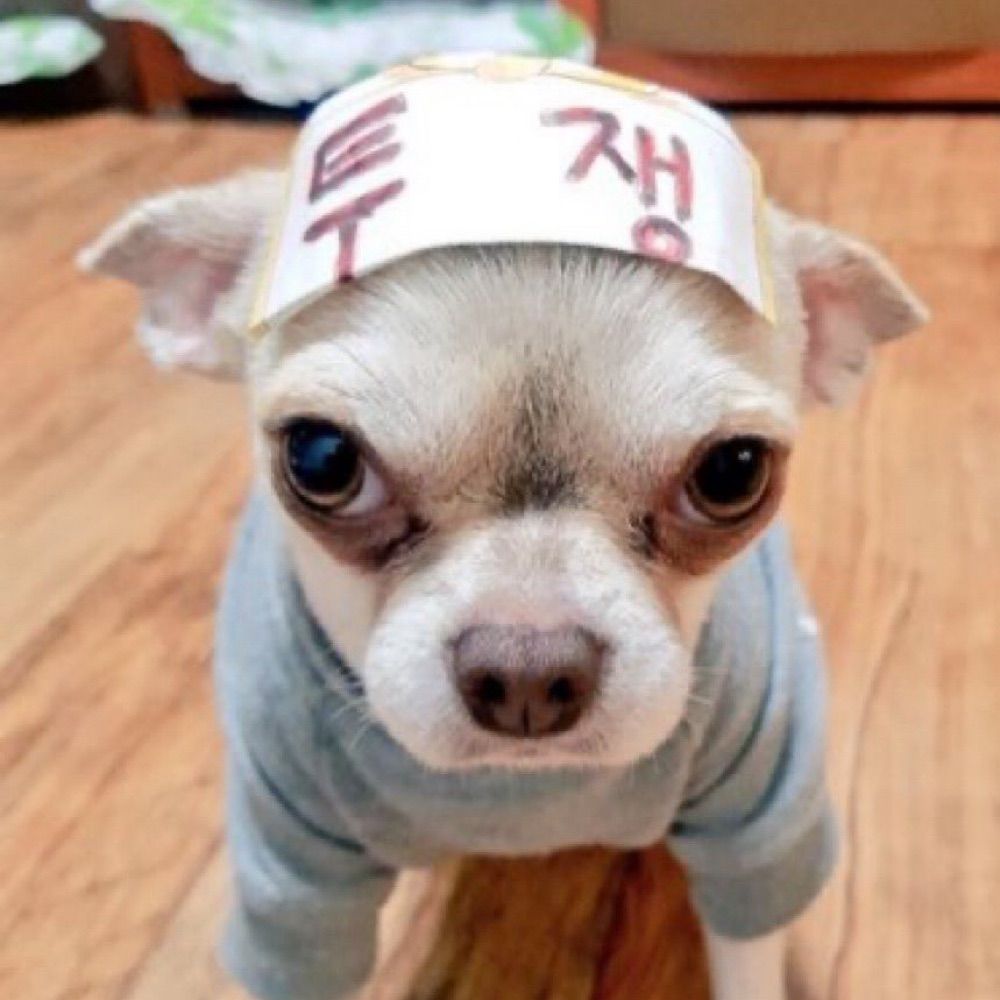 에롱
