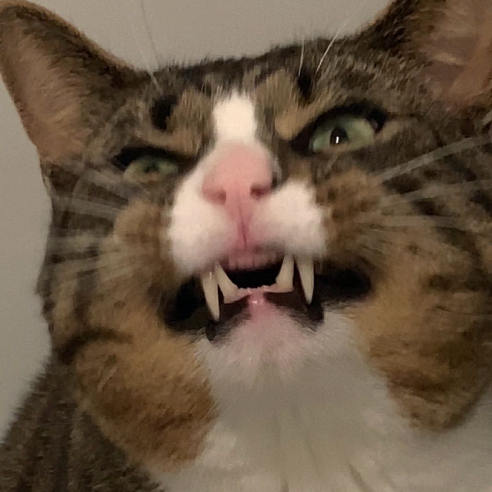 JT