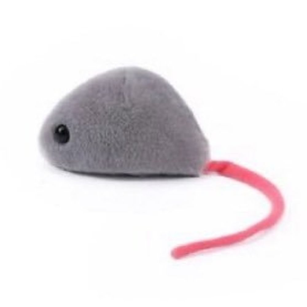멧쥐