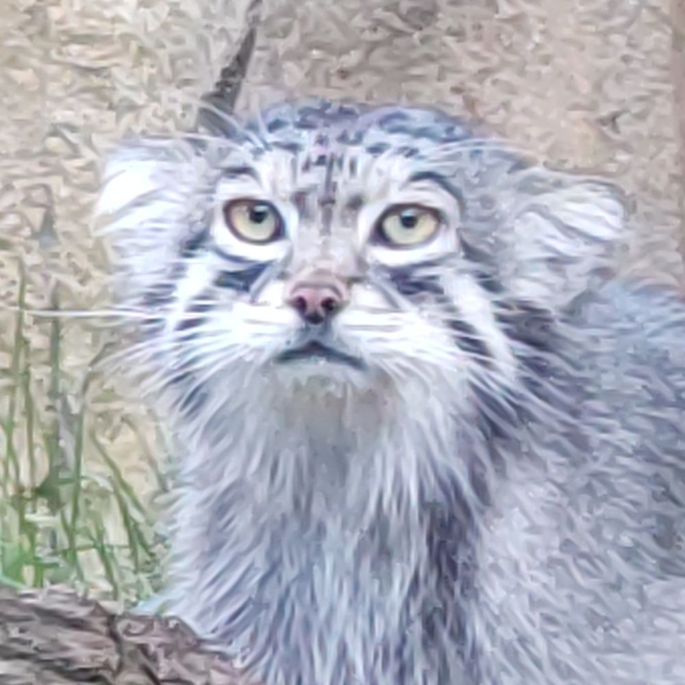 あずる