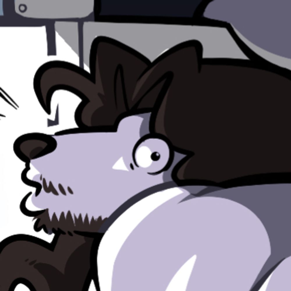 tiko extraordinaire