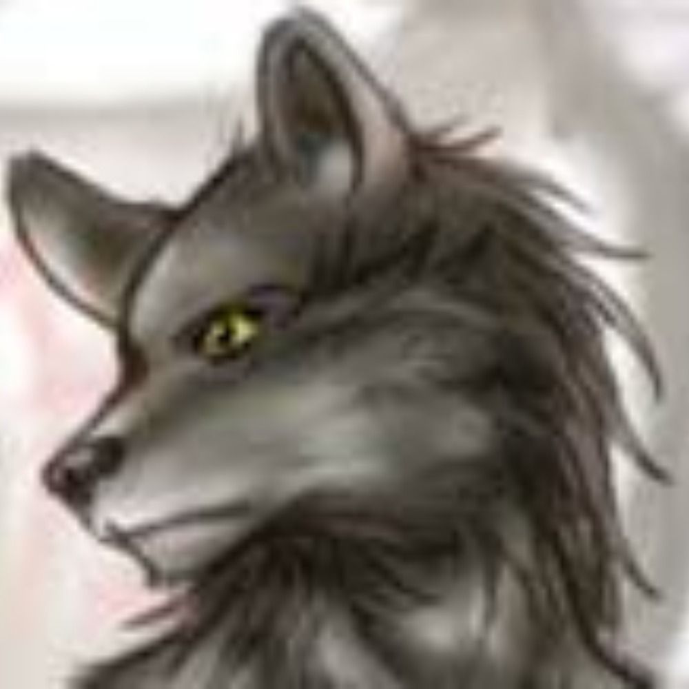 ANightWolf