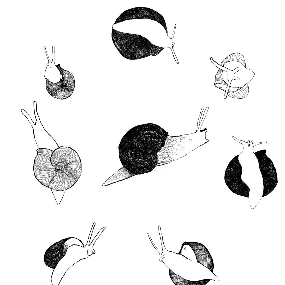 真秋 / Matthew