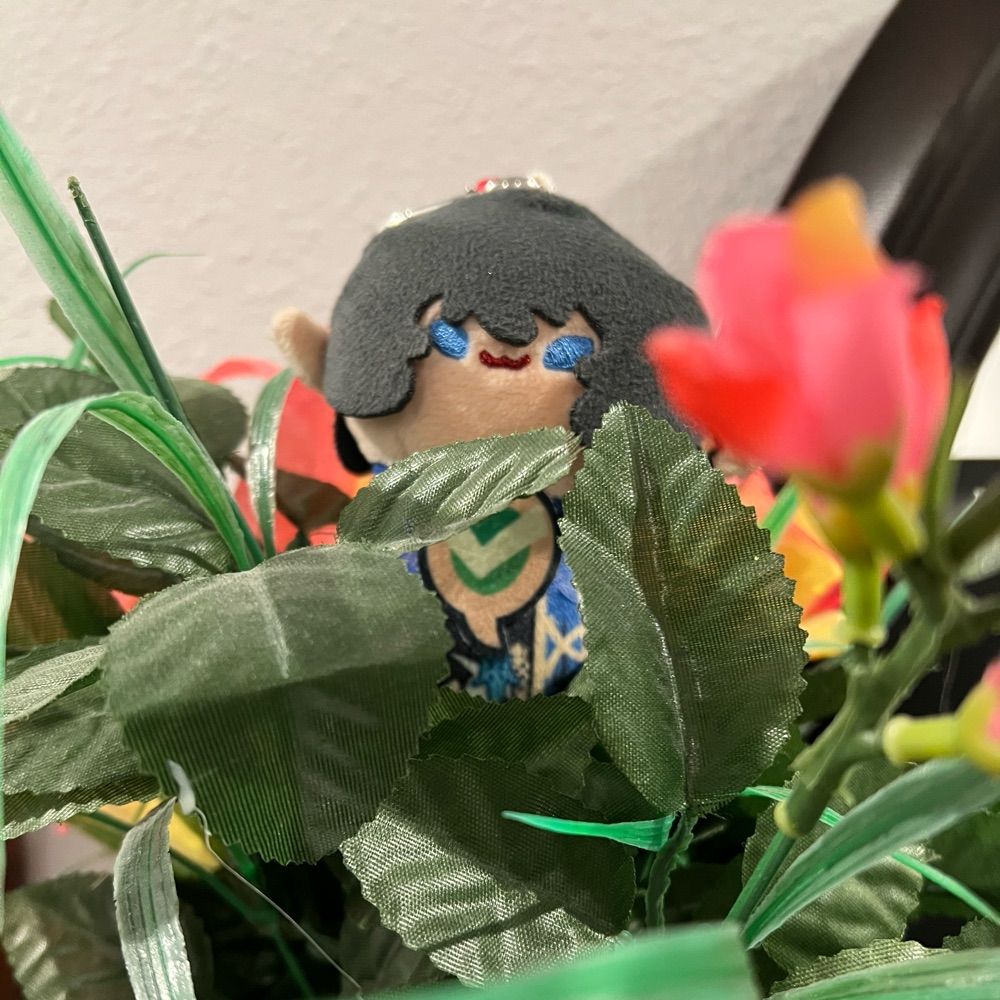 Aymeric's Wanderlust
