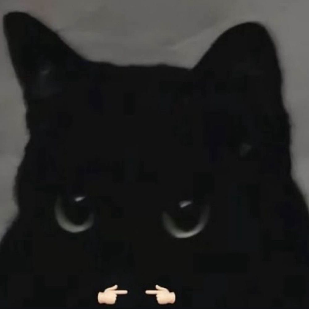 Kitty Nayu 🖤