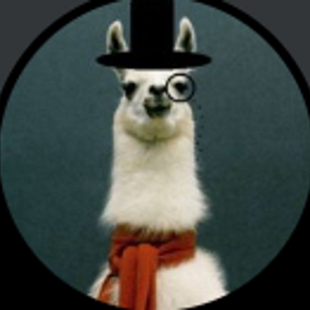 MisterLlama