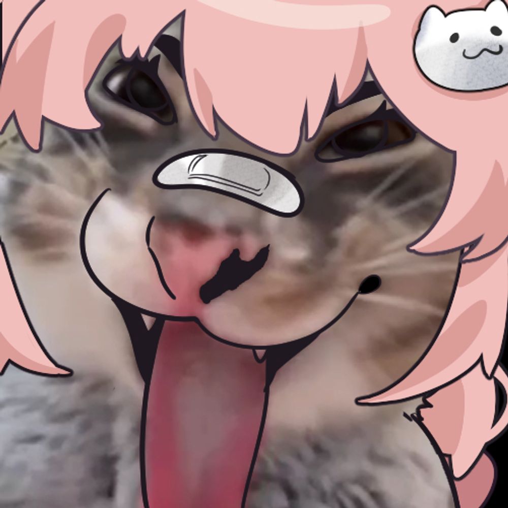 Catsinni (hiatus)
