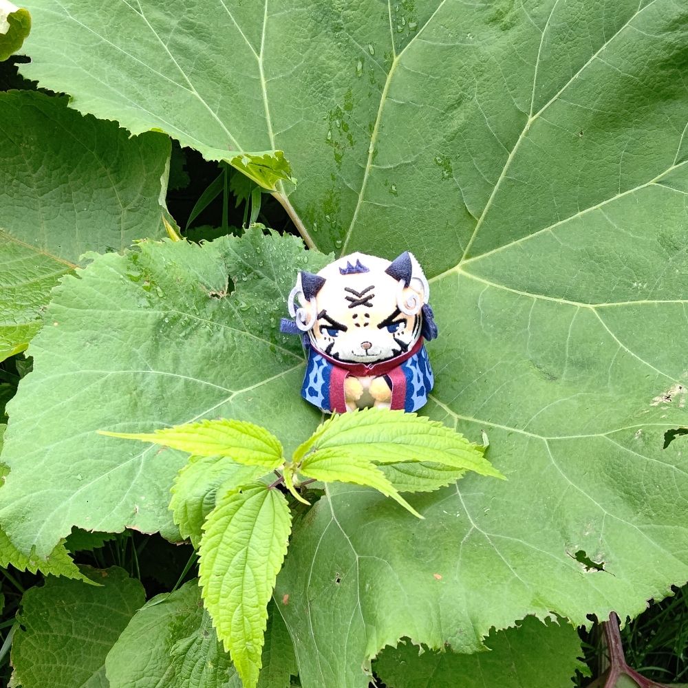 雨宮さん家のフォゼとのる