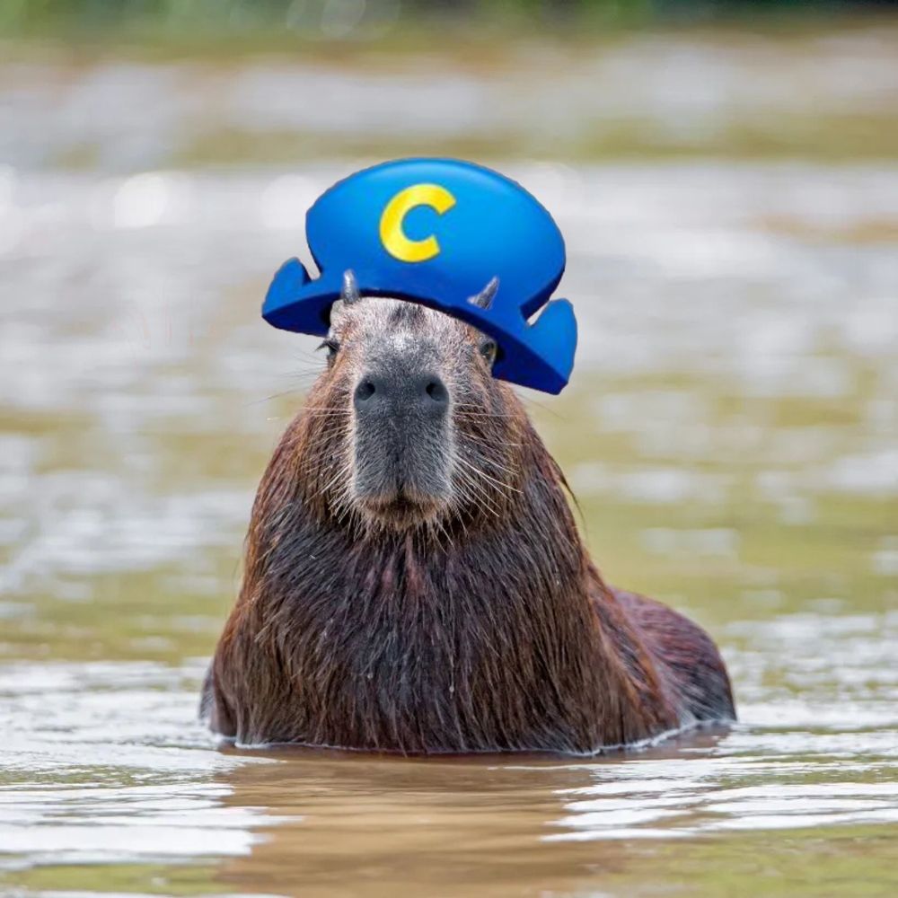 capn baras moosic burro
