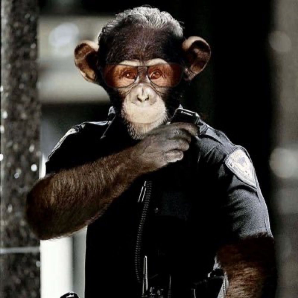 @Responsemonkey