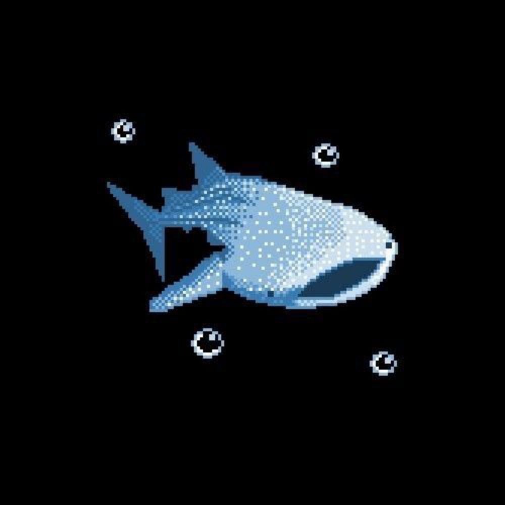 Shark
