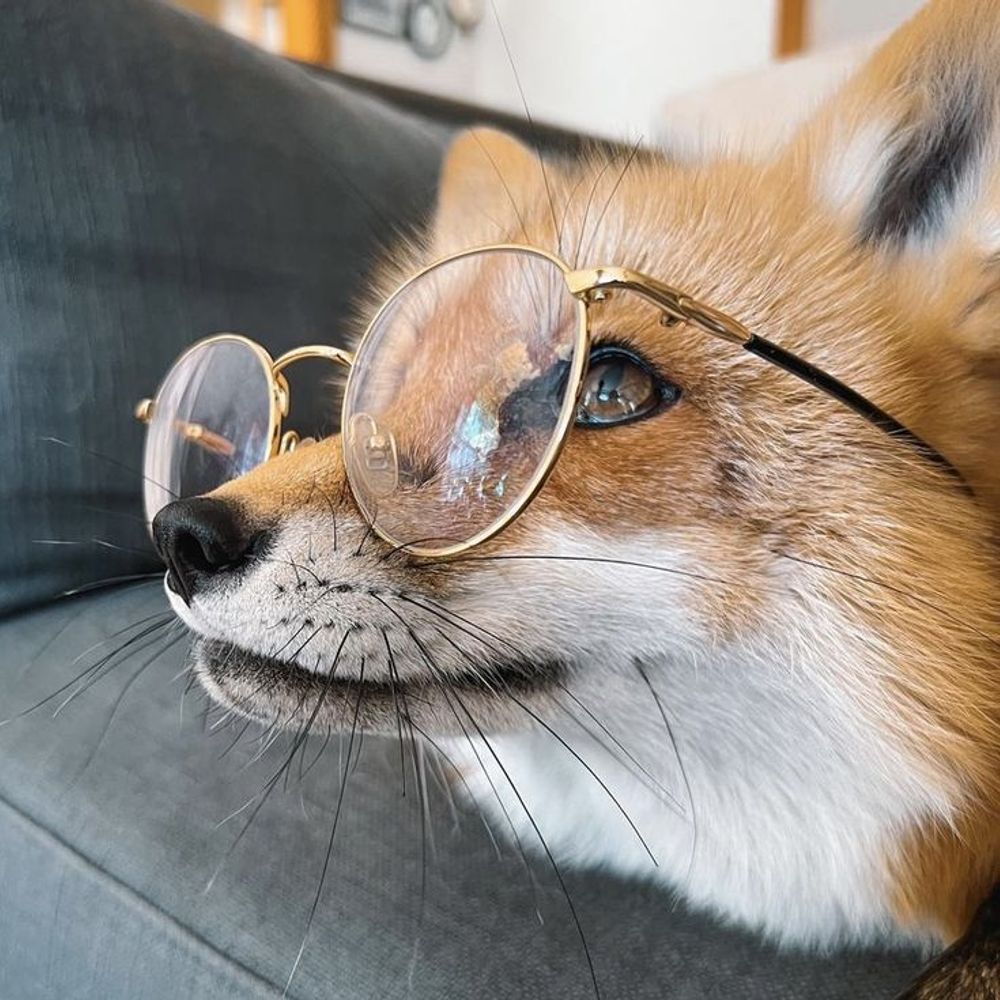 The Pixel Artisan