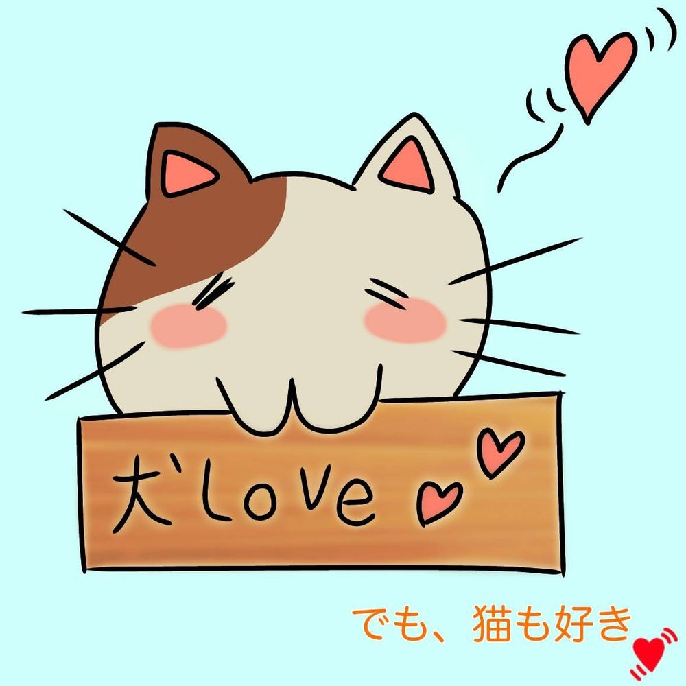 犬派のノラ猫