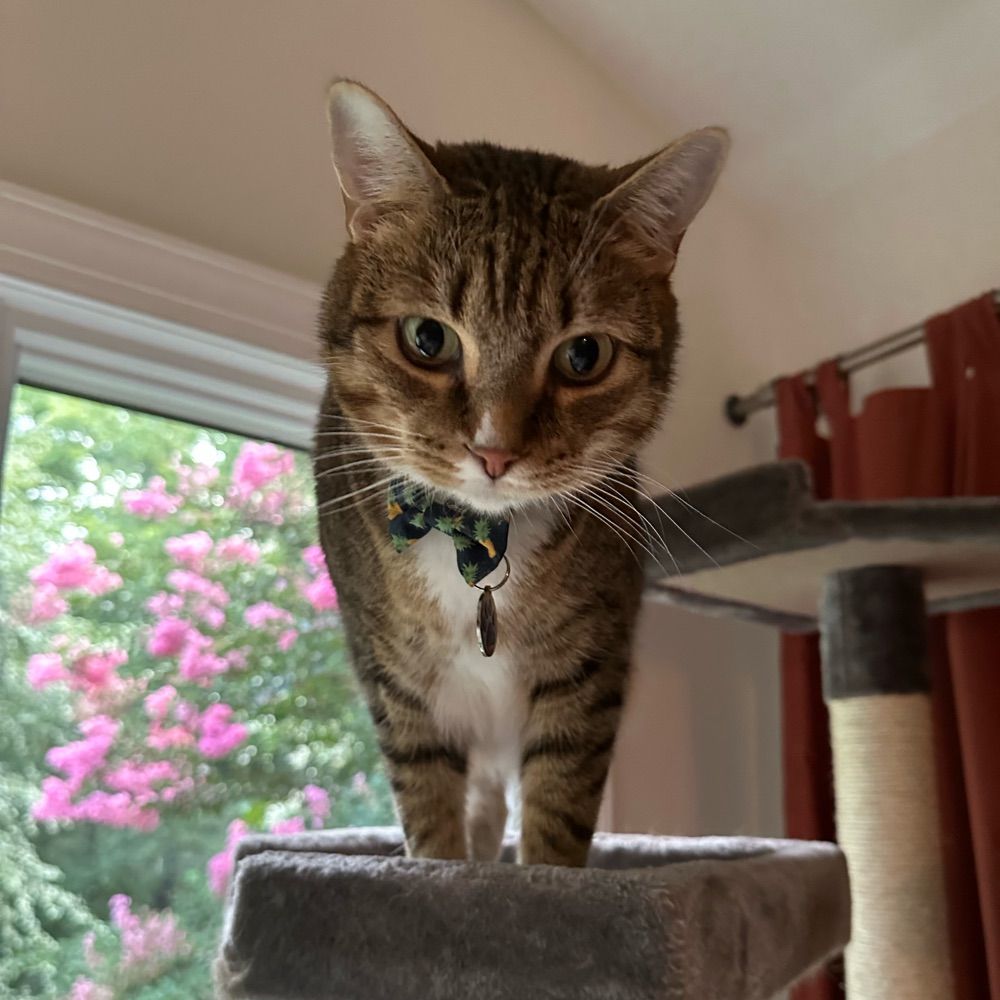 Charlie