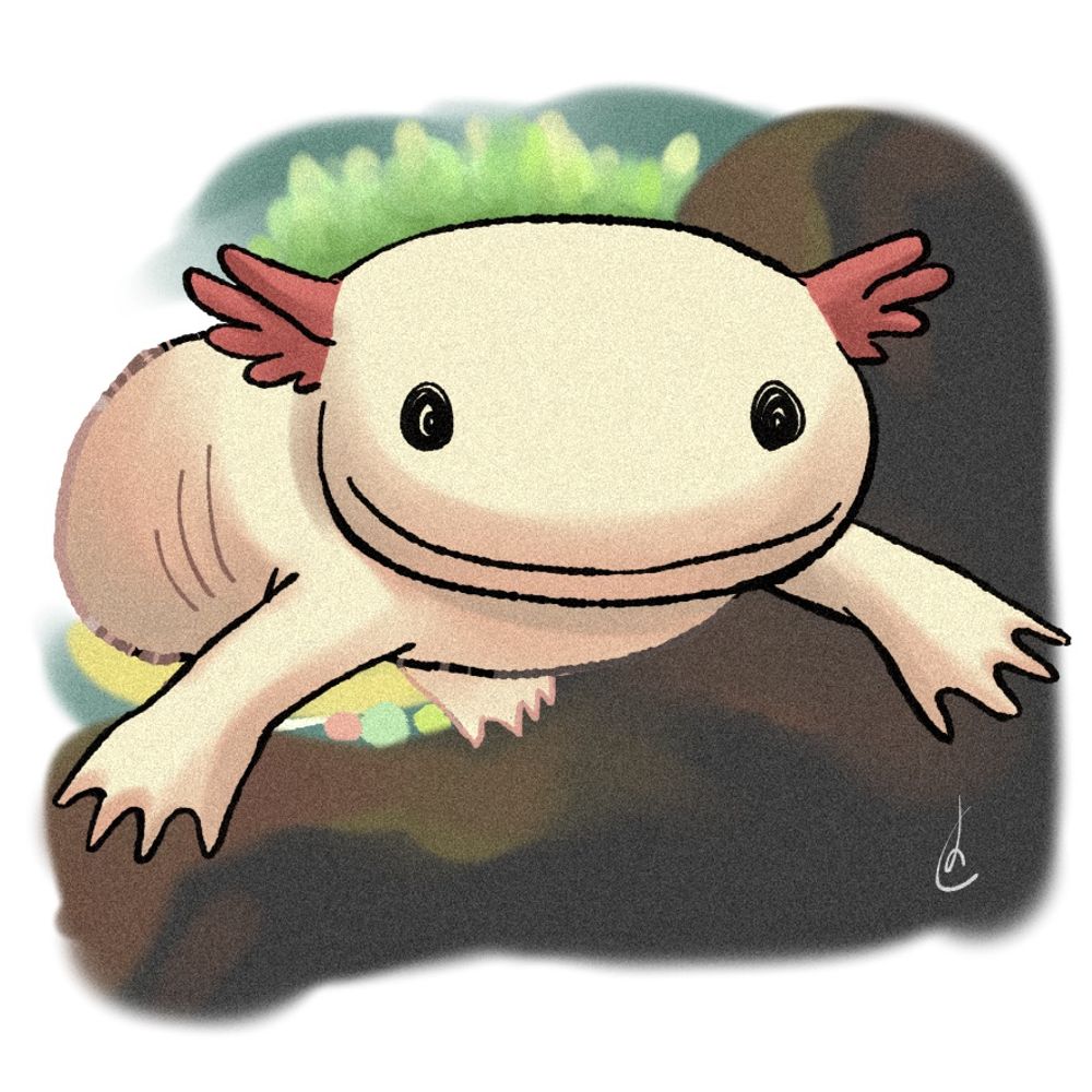 紙魚／ウパ