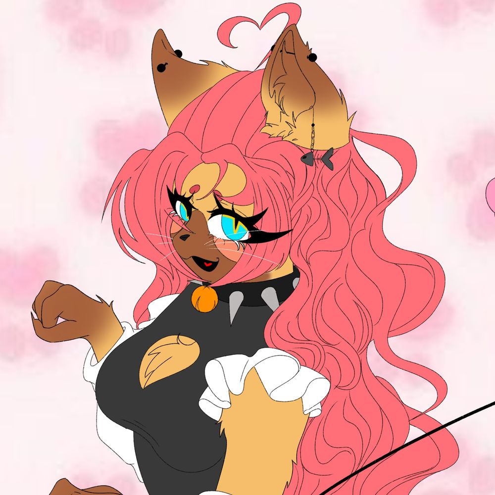 Lizzy Meow!
