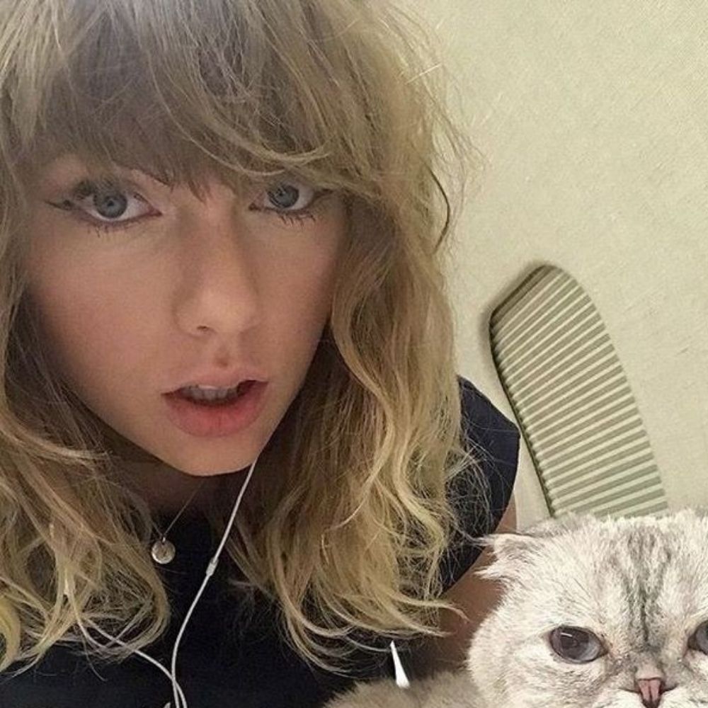 Geh viu taylor, harry e niall