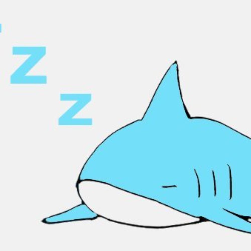 Jimon🦈