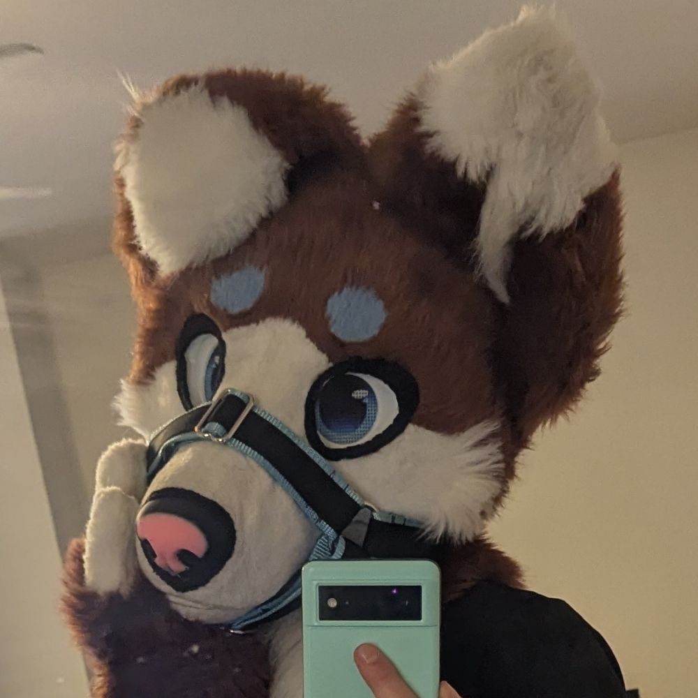 TyberTales🐶 🔜FWA