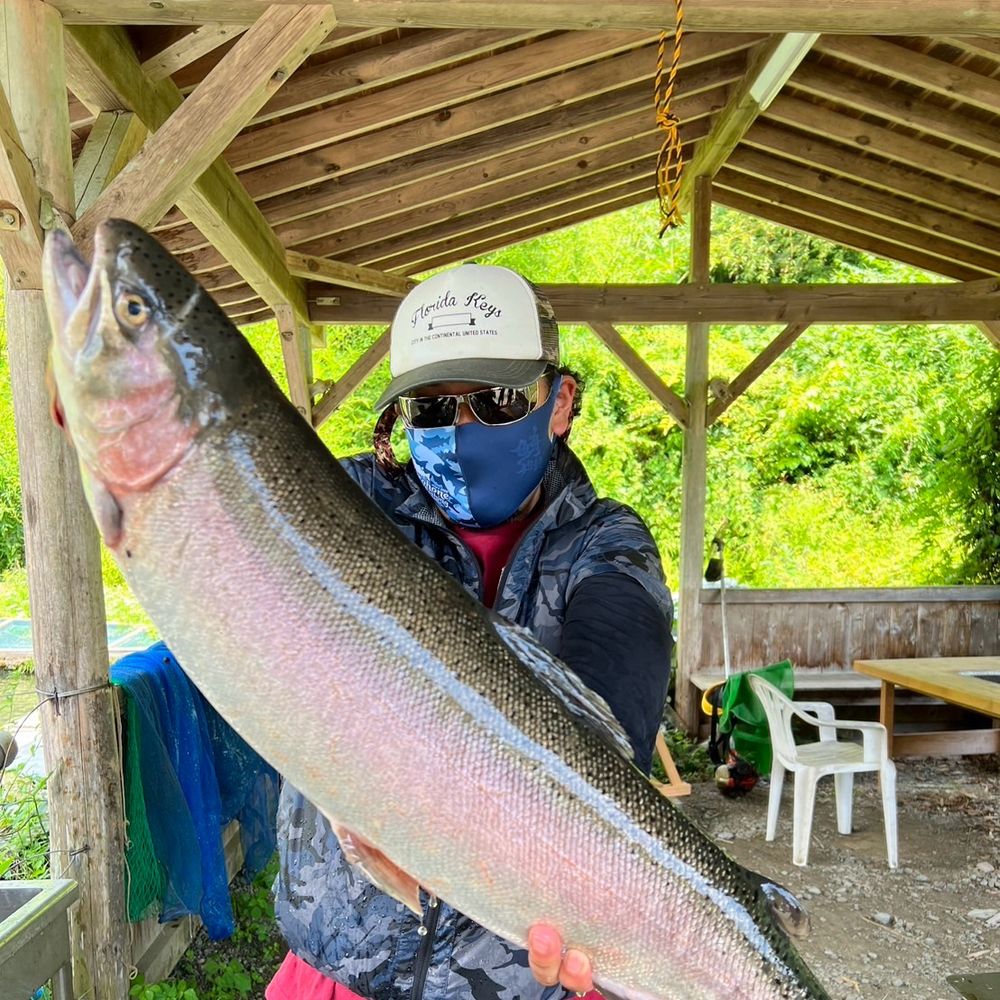 ニャッツ@trout fishing