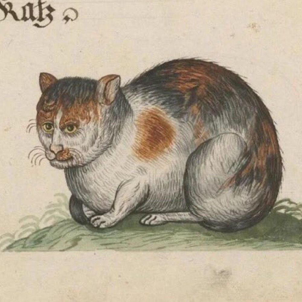 weird medieval guys