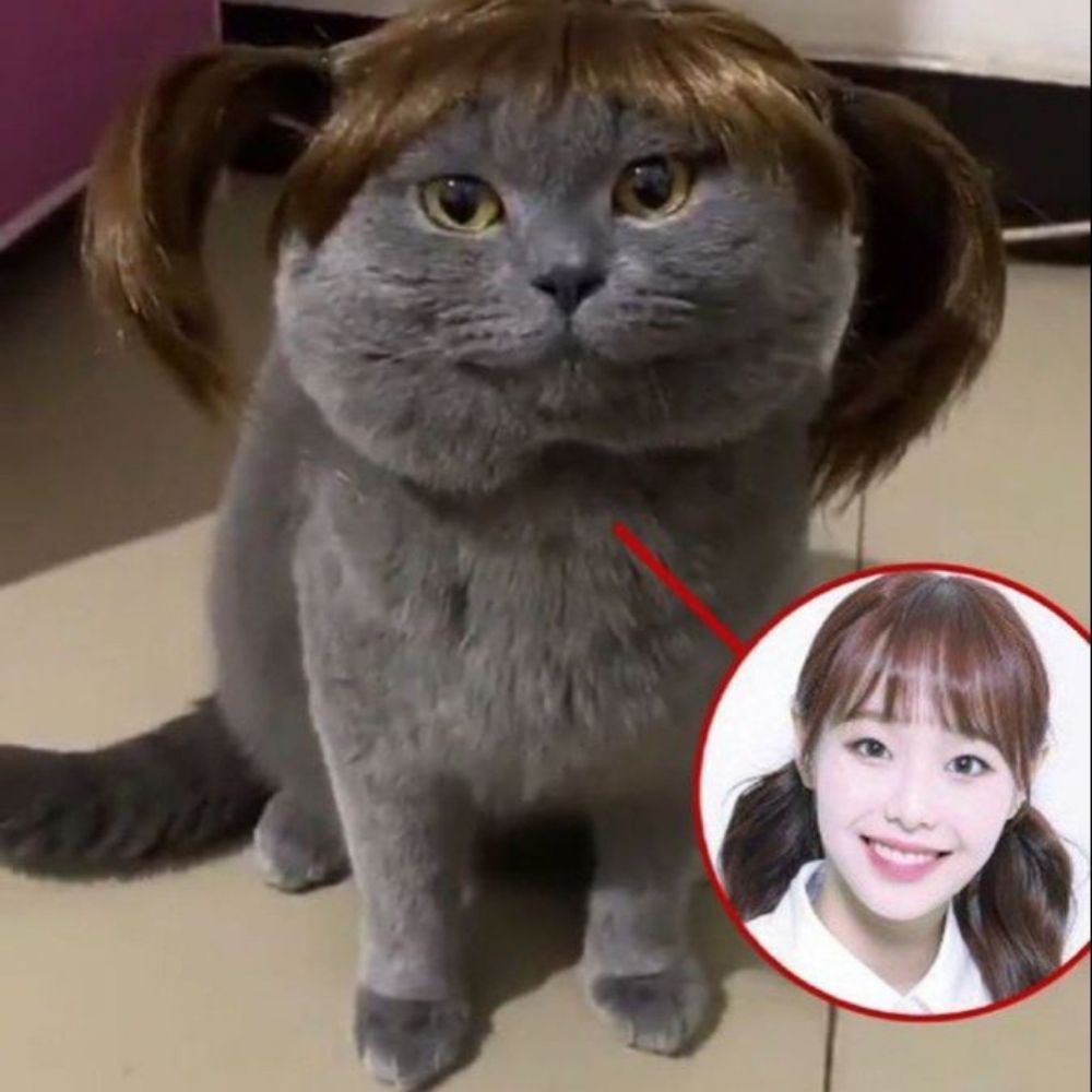 Bugu
