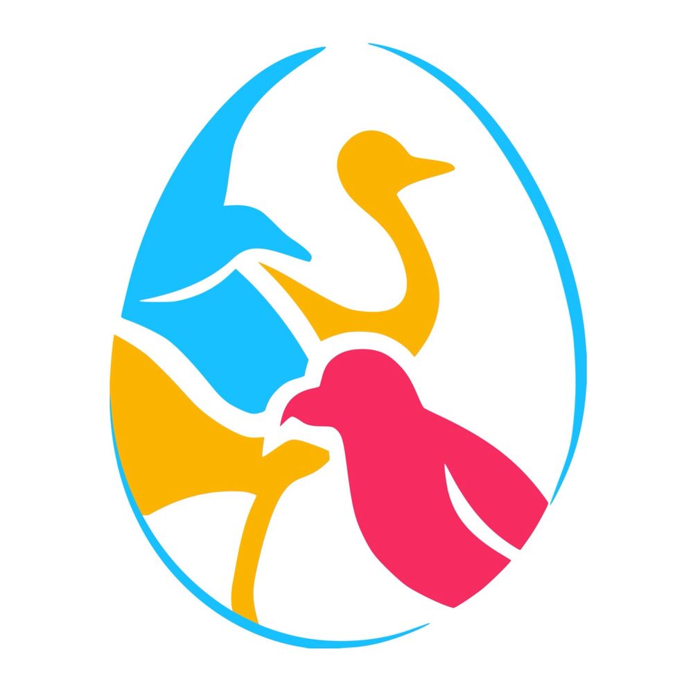 ManyBirds Project