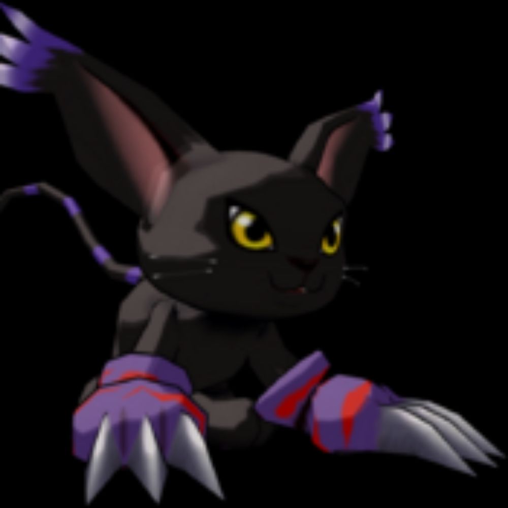 dJ NY00R