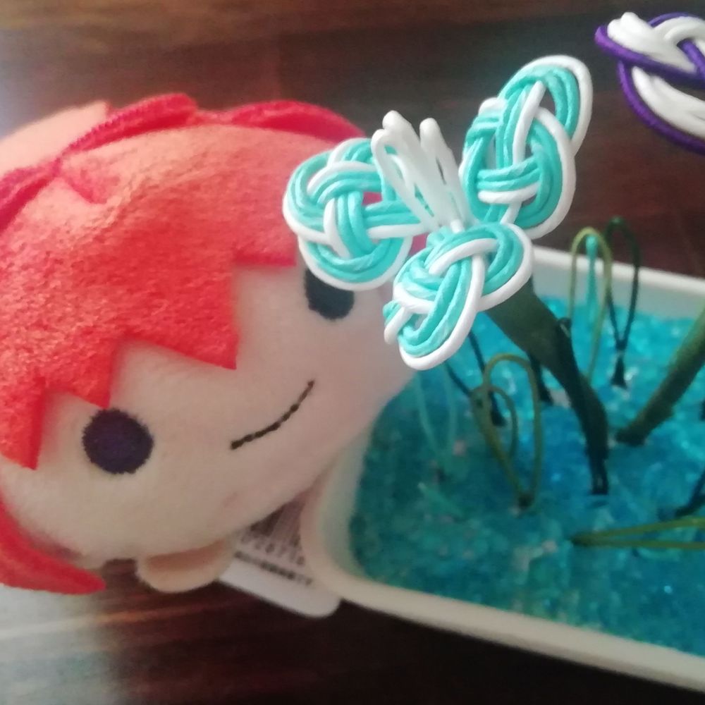 たちき