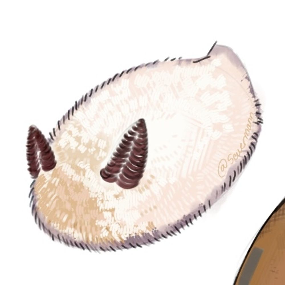 sewermann