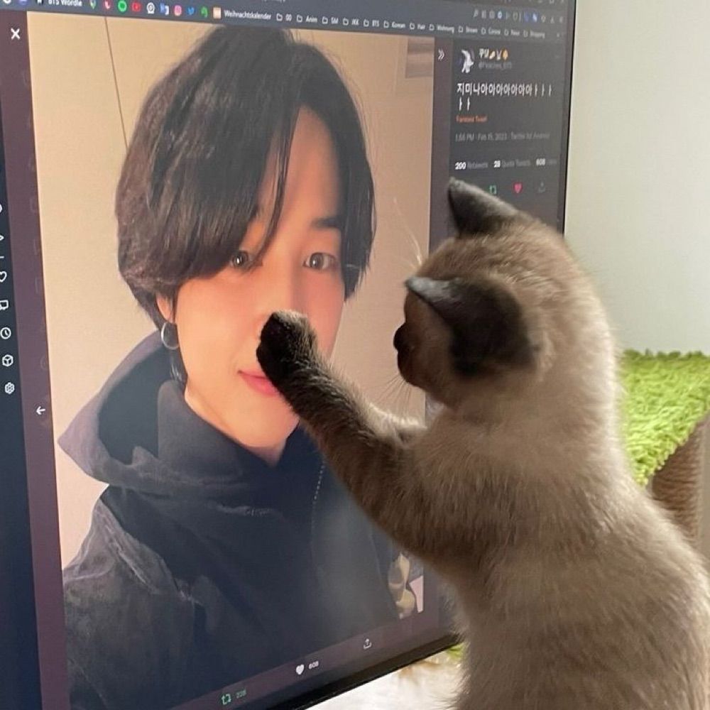 ꒰ᐢ. .ᐢ꒱
