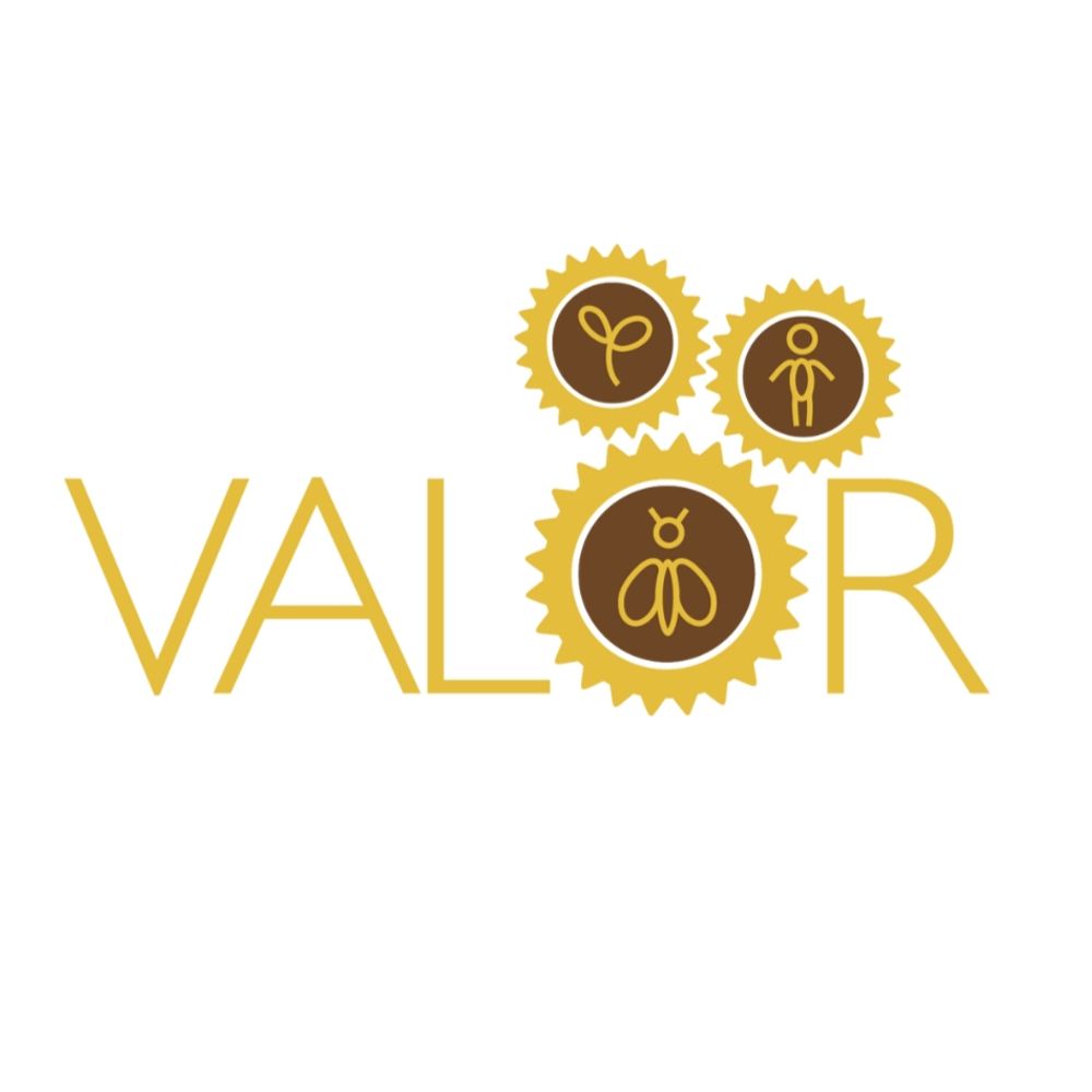 VALOR Project