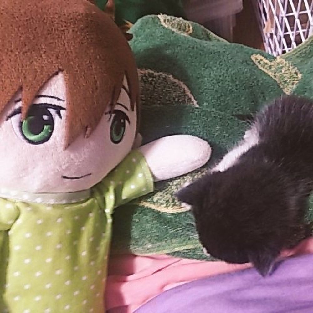 かずきありす