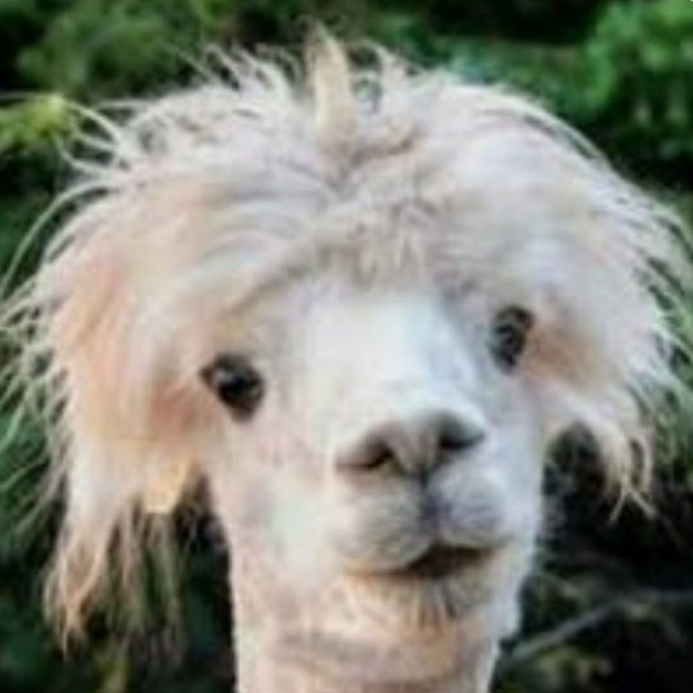 La Puta Llama