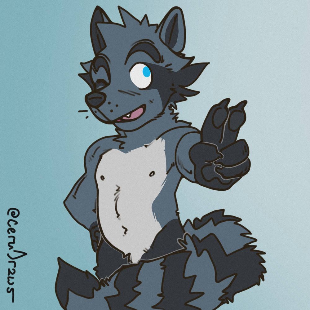 Procione 🦝 DeConti
