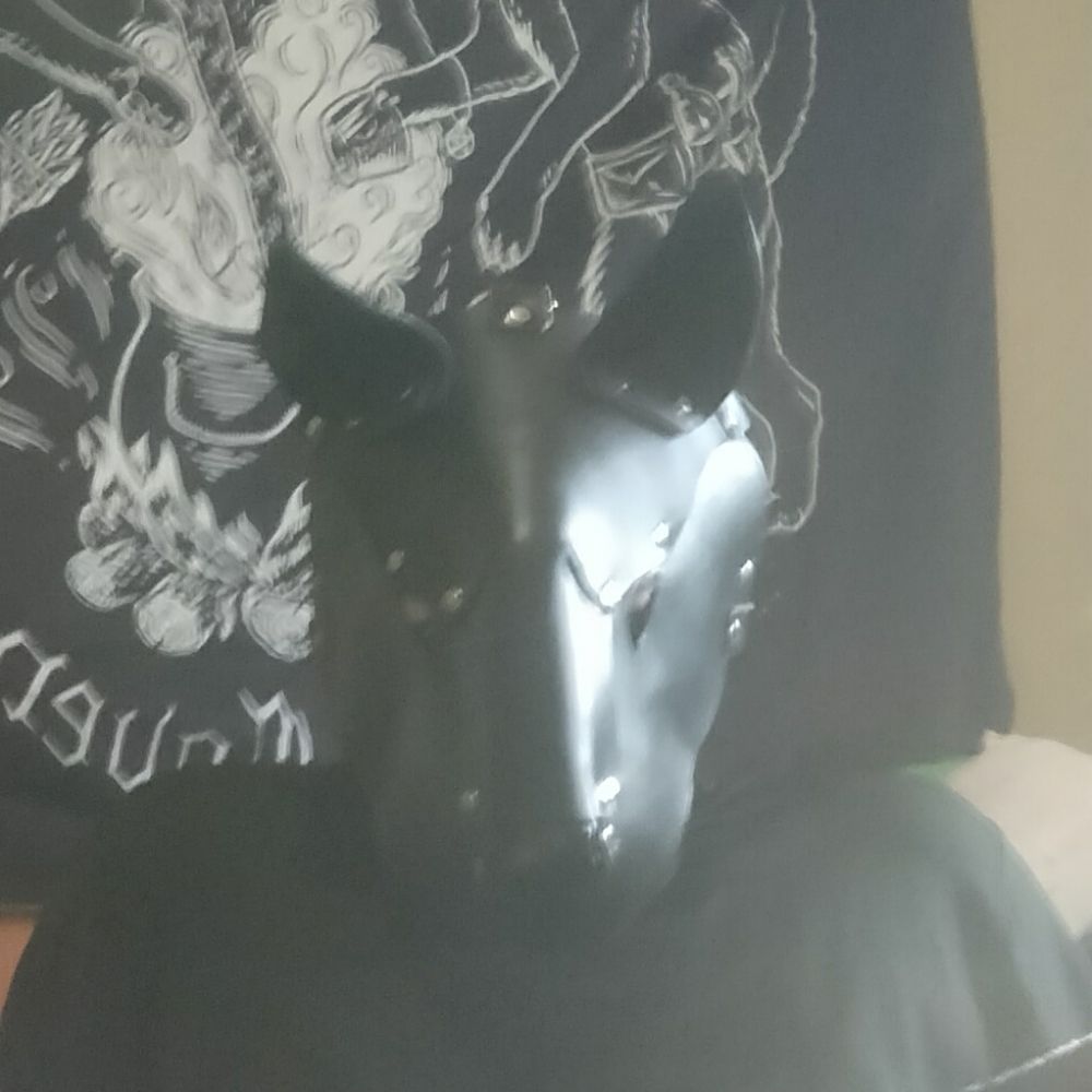 Pup Asmo & Pup Punk
