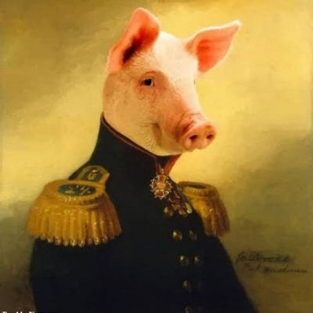 Cuilliams