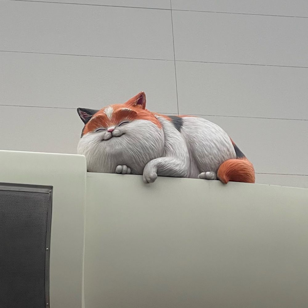 す