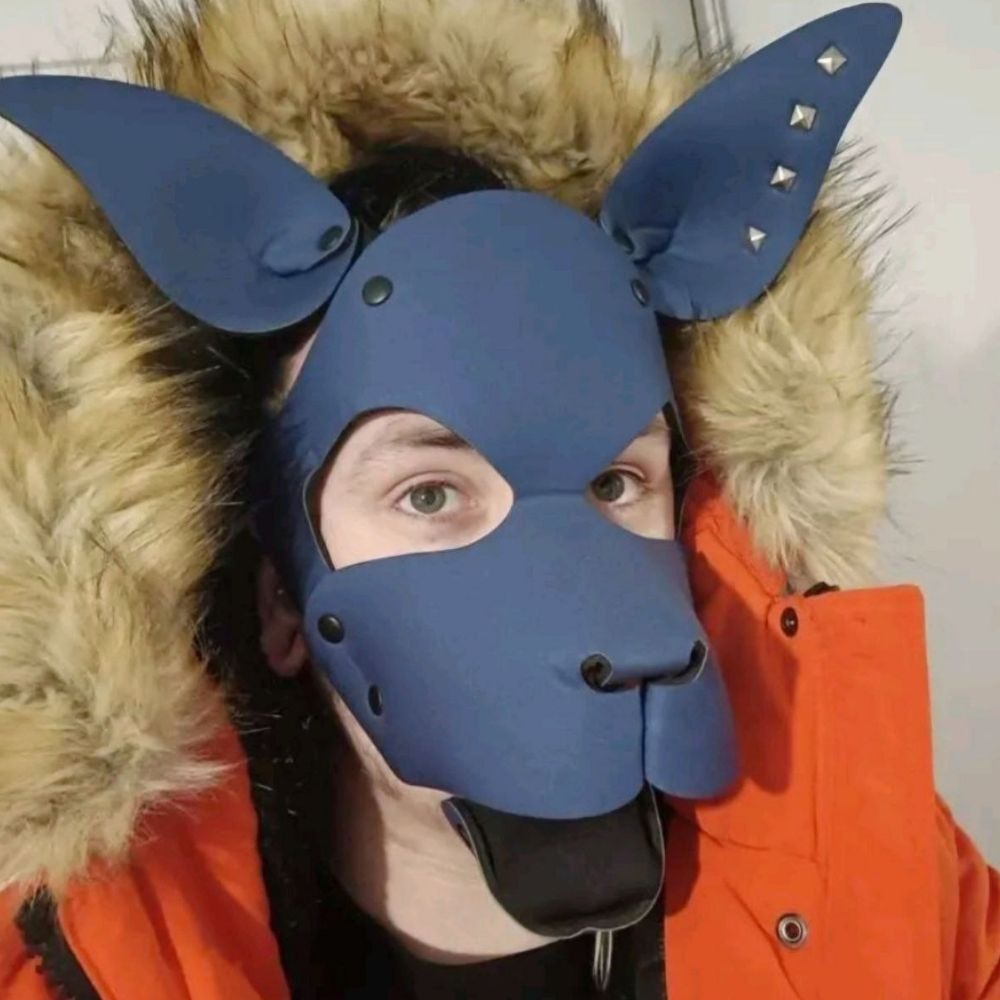 PupNERF