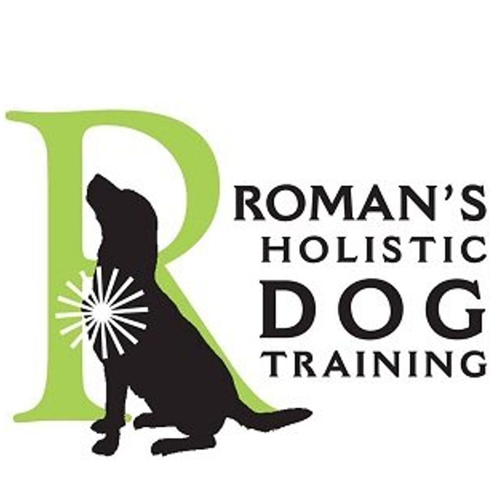Holisticdogtraining