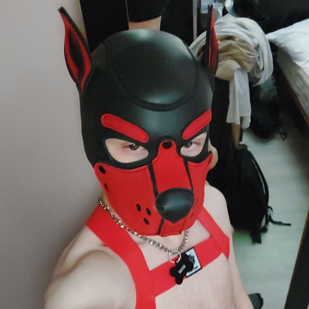 KinkyDexterous/PupDexta