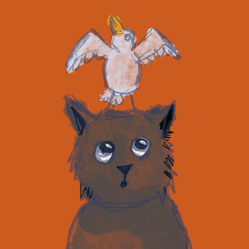 Grimm‘s Illustrations
