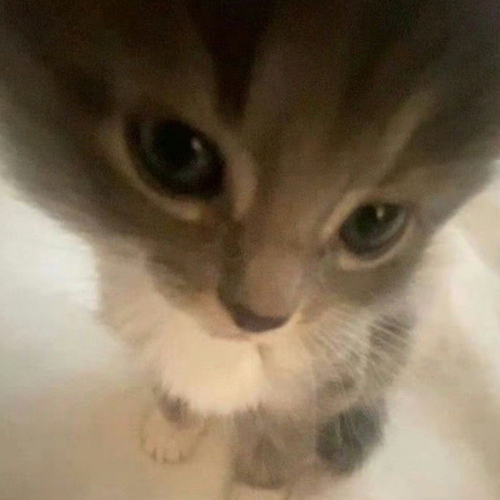 Luuuuu