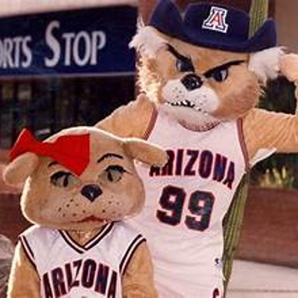 gocatsfan