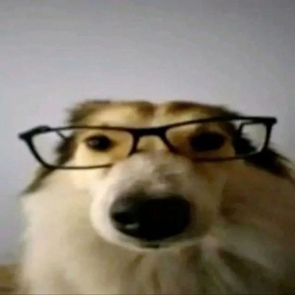 Dog mylies da Silva 