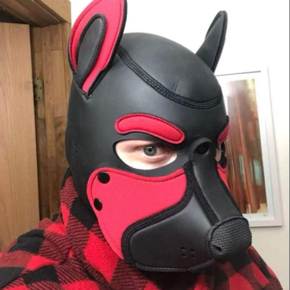 Pup D