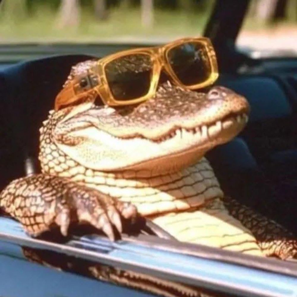 Salty 🐊 CrocWise