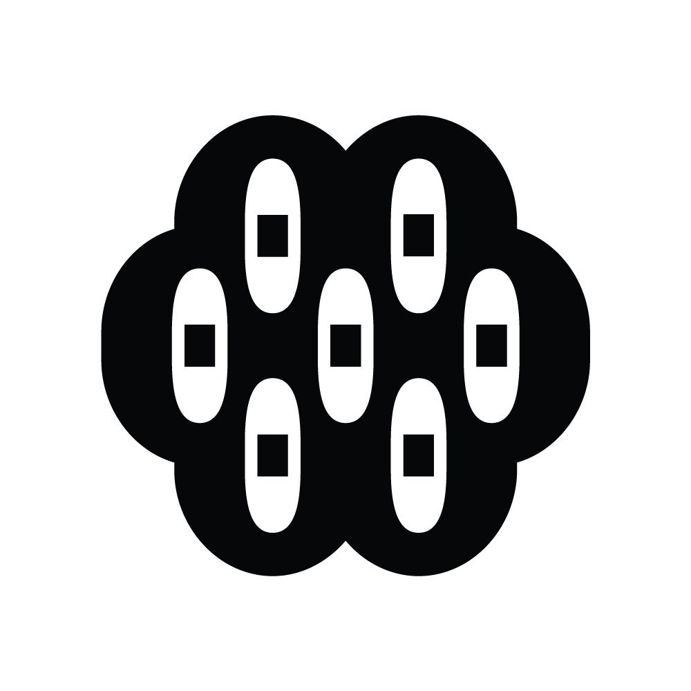 Multiocular Type